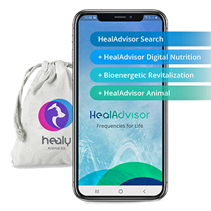 healy, Healy, HealAdvisor, FirstClass